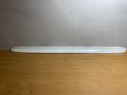 Gehäuse für Kennzeichenleuchte Mercedes-Benz E-Klasse (W210) 2107580038