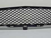Kühlergrill unten Mercedes-Benz B-Klasse Sports Tourer (W246, W242) A2468851122