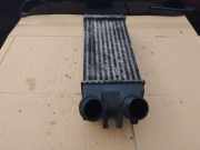 Ladeluftkühler Citroen Xsara Picasso (N68) 9645965180