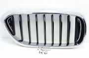 Kühlergrill komplett BMW 5er (G30, F90) 7383520