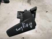 Griff Klappenzug VW Passat B7 Alltrack (36, B7) 518823633A