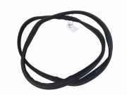 Türgummi links vorne Renault Grand Scenic II (JM)