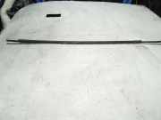 Türverkleidung rechts vorne Lexus IS 2 (E2)