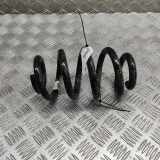 Schraubenfeder hinten links