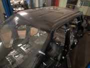 Dach mit Sonnendachausschnitt Land Rover Range Rover Evoque I (L538)