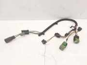 Kabelbaum PEUGEOT 307 Break (3E) 1.4 HDi 9650510880