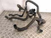 Schlauch Kühlung FORD TRANSIT Furgon 2.2 TDCi BK218260BA BK218286BE
