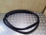 Türgummi rechts vorne Audi A3 (8L)