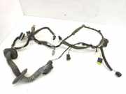 Kabel der vorderen linken Tür