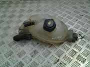 Ausgleichsbehälter RENAULT MASTER III Furgon (FV) 2.3 dCi 125 FWD (FV0C, FV0D) 217100015R