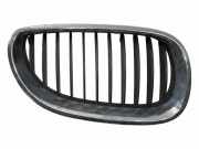 Gitter Grill vorne links BMW 5 Touring (E61) 525 d 7027066