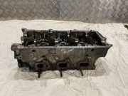 Zylinderkopf Audi A6 Avant (4F, C6) 0594AL