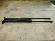 Heckklappe Gasdruckfeder links