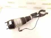 Pneumatischer Stoßdämpfer vorne links MERCEDES-BENZ GLS (X166) 350 d 4-matic (166.824) 1663200100