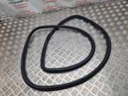 Türdichtung Audi Q7 (4L)