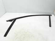 Zier-/Schutzleiste für Türscheibe Volvo V90 II (235) 31479565