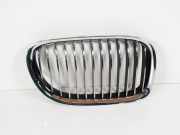 Vorderer oberer Gitter BMW 7 (F01, F02) 730 d 7211658