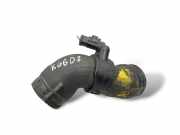 ANSAUGLUFTSENSOR PEUGEOT 207 (WA_, WC_) 1.4 96554327