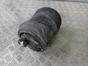 Gasdruckfeder Audi Q8 (4M) 4M0616001AK