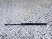 Heckklappe Gasdruckfeder links