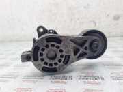 Generatorriemen des Spanners VW PASSAT B7 ALLTRACK (365) 2.0 TDI 03C903315