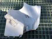 Fensterwaschtank BMW X3 (E83) xDrive 30 d