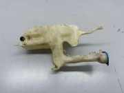 Fensterwaschtank VOLVO V40 Estate (VW) 1.8 30855249