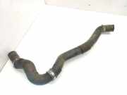 Schlauch Kühlung RENAULT LAGUNA III (BT0/1) 2.0 dCi (BT08, BT0K, BT0J, BT14, BT1A, BT1D)