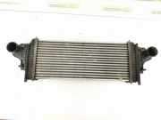 Ladeluftkühler MERCEDES-BENZ R (W251, V251) R 350 CDI 4-matic (251.124, 251.125) 1645001900