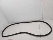 Dichtungsgummi der hinteren Tür (an der Karosserie) FORD GALAXY (WGR) 1.9 TDI