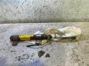 Dach SRS rechts FIAT BRAVO II (198_) 1.4 T-Jet 517510920