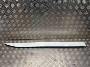 Türverkleidung rechts vorne Skoda Superb III (3V) 3V0854940C