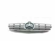 Vorderer oberer Gitter MERCEDES-BENZ CLK Cabrio (A209) CLK 320 (209.465) A2098800183