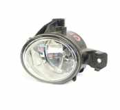 Nebelscheinwerfer links vorne BMW X5 (E70) 7184317