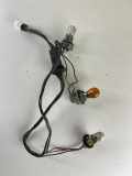 Other Tail Light Parts NISSAN X-TRAIL (T30) 2.2 Di 4x4
