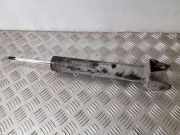 Stoßdämpfer hinten links MERCEDES-BENZ R (W251, V251) R 320 CDI 4-matic (251.022, 251.122)