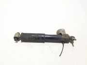 Stoßdämpfer hinten links