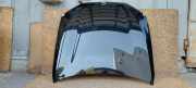 Motorhaube BMW 5er Touring (G31)