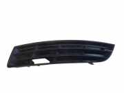 Gitter vorne unten VW PASSAT B7 (362) 2.0 TDI 3C0853665