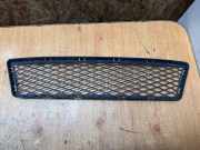 Gitter vorne unten BMW 3 Cabrio (E93) 320 d 51117128234