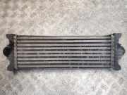 Ladeluftkühler Ford Transit V363 Kasten (FCD, FDD) CC119L440BF
