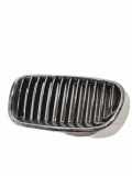Vorderer oberer Gitter BMW 5 Touring (F11) 530 d 7200727