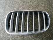 Vorderer oberer Gitter BMW X5 (E70) 3.0 d G0218A3