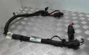 Kabelbaum LAND ROVER RANGE ROVER SPORT (L320) 3.0 D 4x4 DK6214F427JD