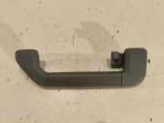 Griff Panoramadach VW Phaeton (3D) 3D5857607