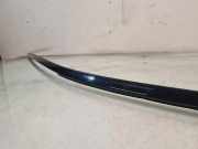 Dachleiste links BMW 7 (F01, F02) 730 d E04602
