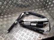 SRS Modul Dach links CITROËN C4 Picasso I (UD_) 1.6 HDi 3037 3037