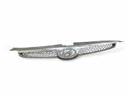 Vorderer oberer Gitter HYUNDAI i30 (FD) 1.6 CRDi
