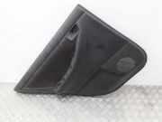 Türpolster hinten links