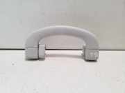 Dachgriff hinten links